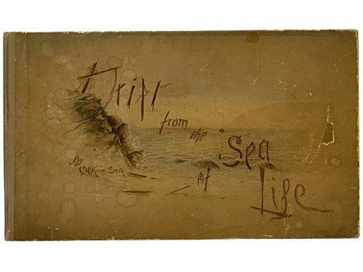 Drift from the Sea of Life