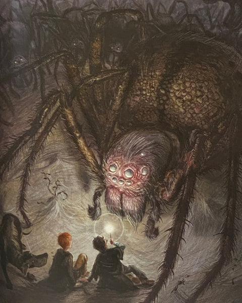 Harry Potter and the Chamber of Secrets: Illustrated Edition (Year 2)