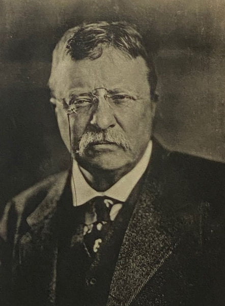 State of New York A Memorial to Theodore Roosevelt